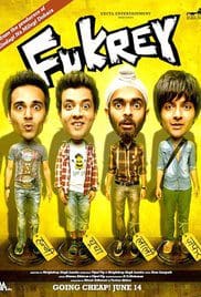 Fukrey 2013 Full Movie Free Download Bluray HD